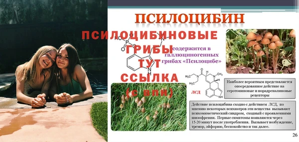 марки nbome Алзамай