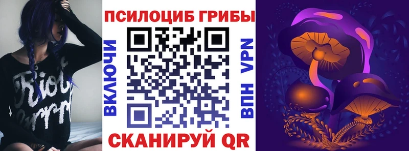 Галлюциногенные грибы мухоморы  продажа наркотиков  Салехард 